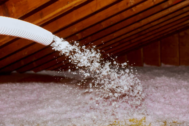 Best Residential Insulation in Thorp, WI