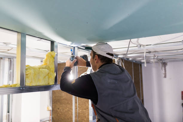 Best Geographic-Specific Insulation Services in Thorp, WI