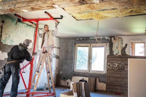 Best Specialized Insulation Services in Thorp, WI